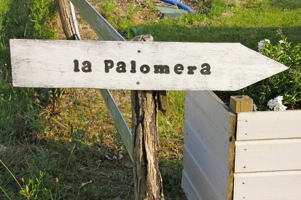 La Palomera Bed and Breakfast Berenx Buitenkant foto
